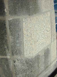 wpe18.jpg (7453 Byte)
